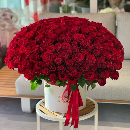 301 red roses in a box