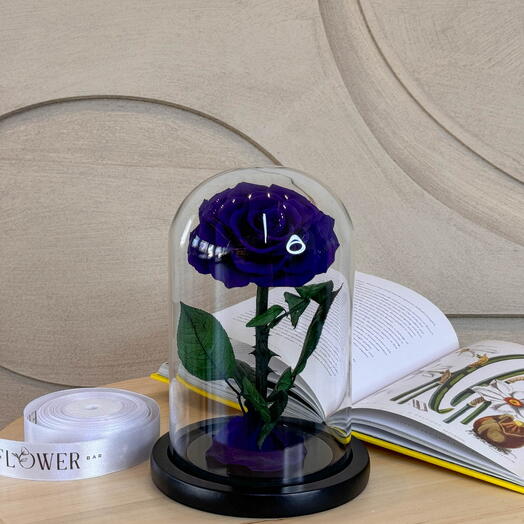 Rosa Eterna Púrpura Oscura