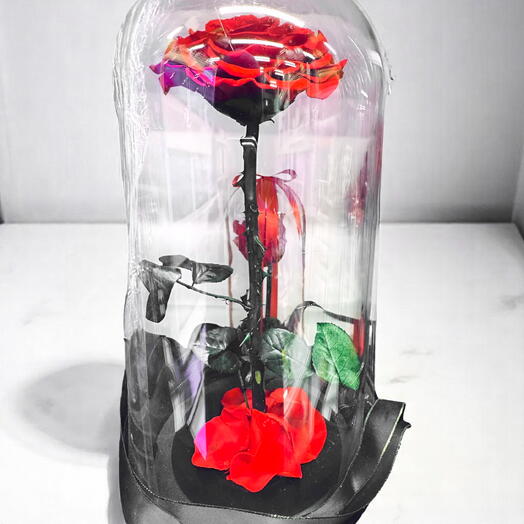 Forever Red Rose in Glass Dome – A Symbol of Eternal Love