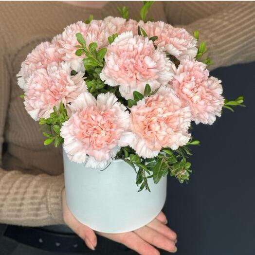 Boîte d'œillets roses