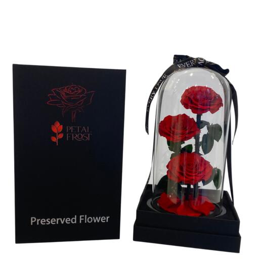 Preserved 3 Red Rose