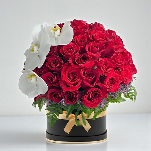 Midnight Luxe – Roses   Phalaenopsis