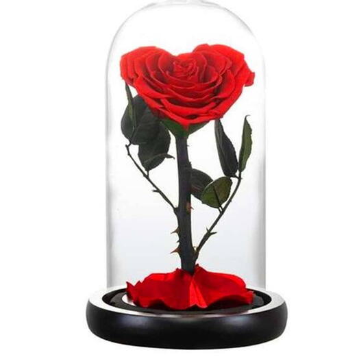 Стабилизированная роза в форме сердца