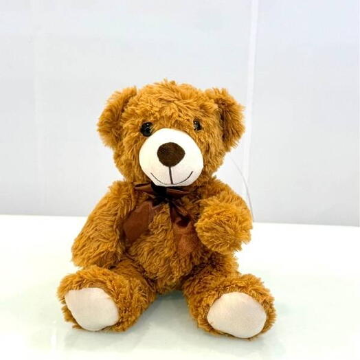Signature Teddy Bear 30cm