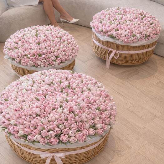 Wow baskets with tulips