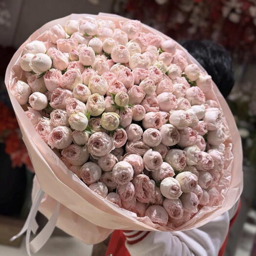 Ramo de rosas spray de jardín rosa pastel Poetic Blush