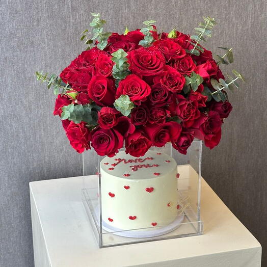 Acrylic Cake Box Red