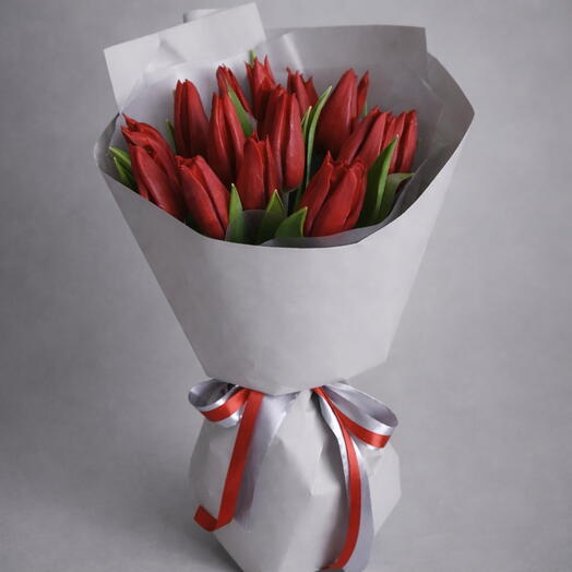 Dark red Tulips 15pic