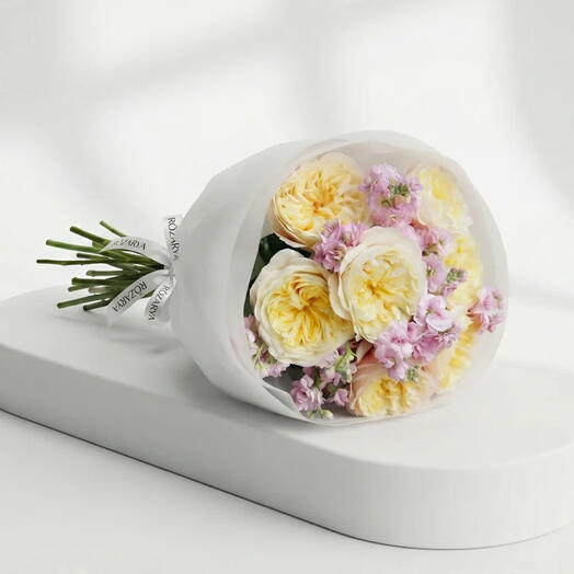 Cream   Lavender Meadow: The Scented Garden Rose   Matthiola Luxe