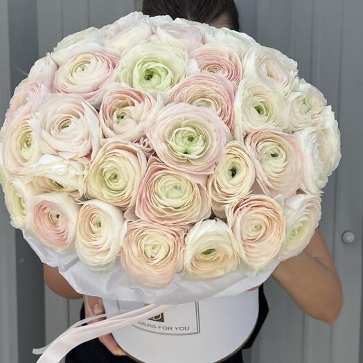 علبة رانونكولوس هانوي الفاخرة