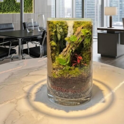 Terrarium Rêverie Forestière