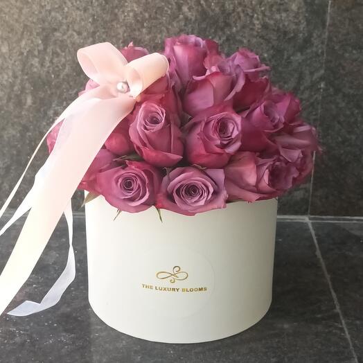 Pink /purple Rose dome