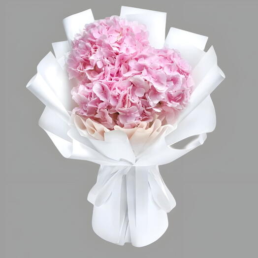 Гортензии 001