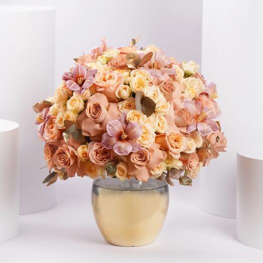 Rosa Noor Crown Collection