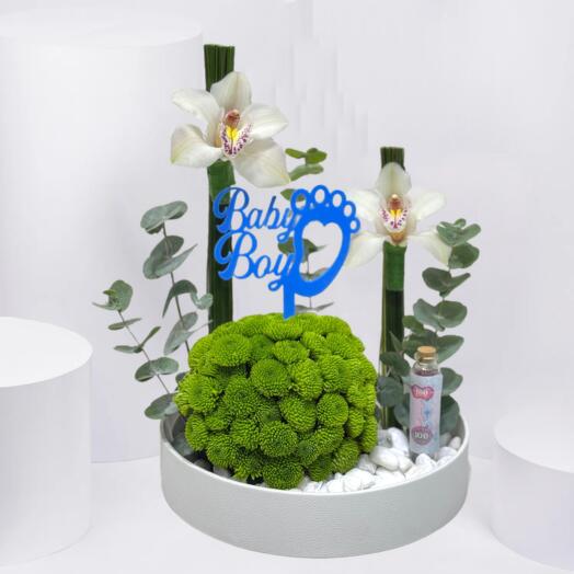 Orchid   Green Baby Boy