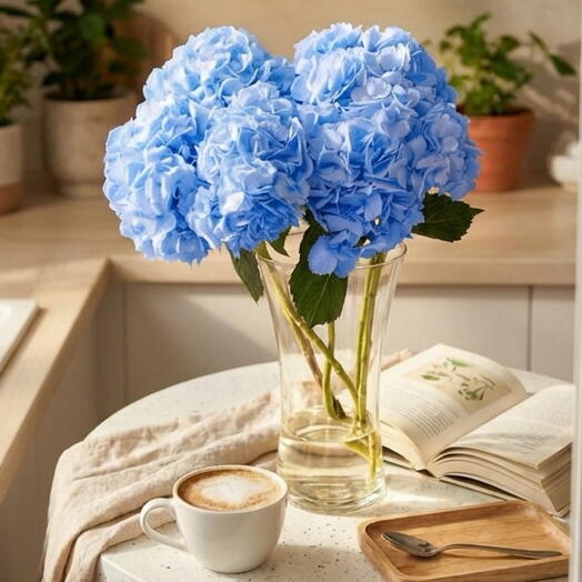 Hydrangeas blue