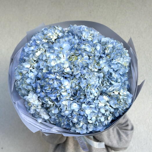Премиум-букет «Гортензия Мечта»