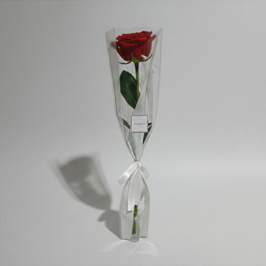 Single Red Rose| Classic Romantic Flower - Valentines Day Gift
