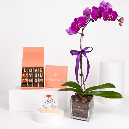 Purple Orchid Plant   Love You Mom Chocolate Gift Set