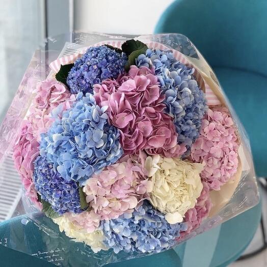 Bouquet of mixed hydrangeas