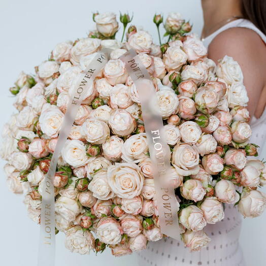 Creme: Medium Bouquet of 30 Cream Garden Spray Roses
