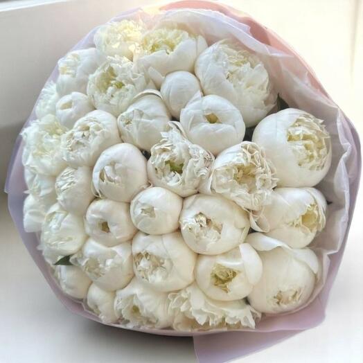 فاوانيا بيضاء