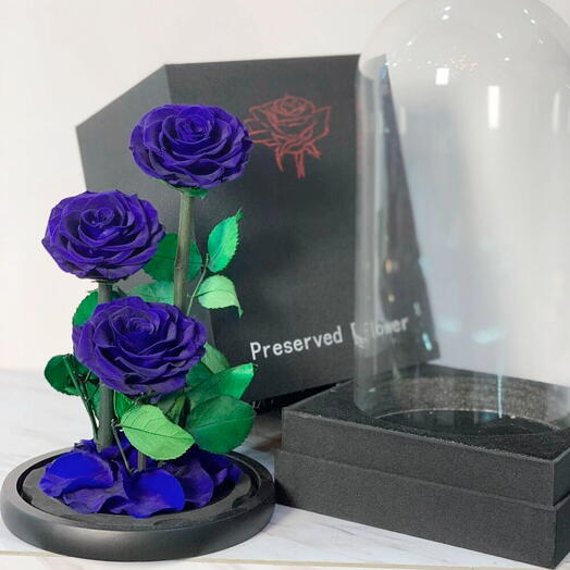 Trío Amor Rosas Azules