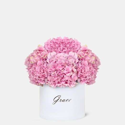 Розовая гортензия в большой коробке