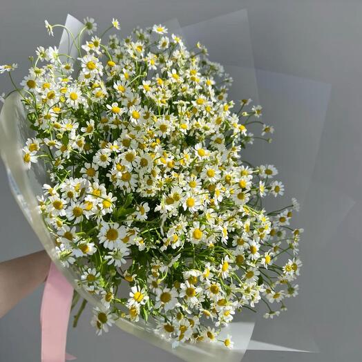 Daisy flower bouquet