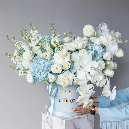 Its A Boy