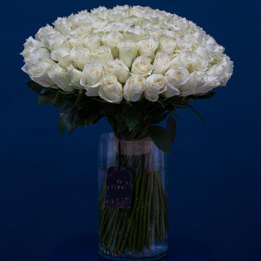 101 white roses in a vase
