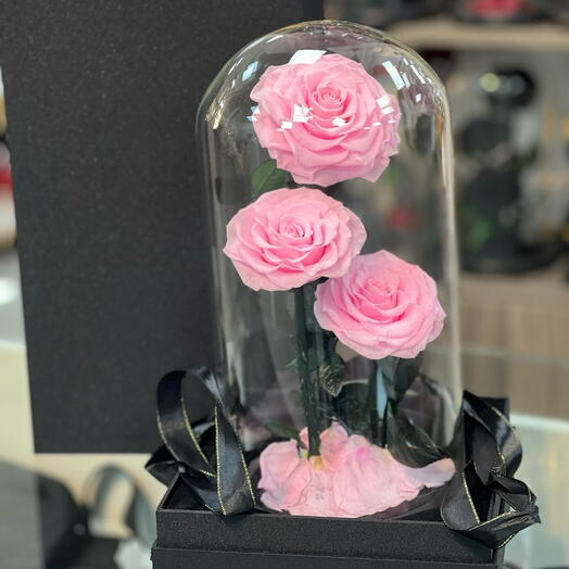 Preserved Roses Pink