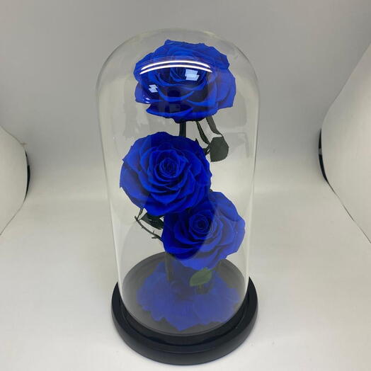 Preserve Blue Roses
