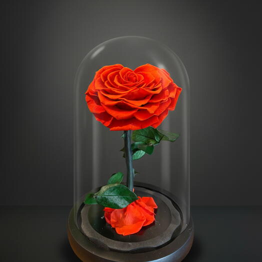 Консервированная одиночная роза