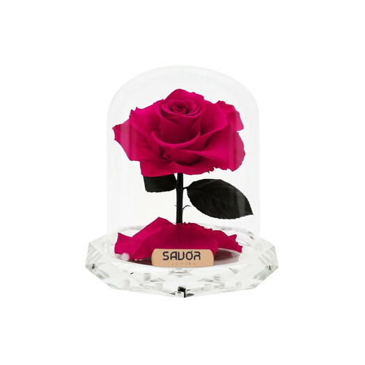 Infinity Crystal Mini - Hot Pink