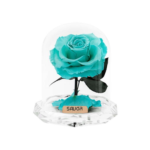 Infinity Crystal Mini - Tiffany Blue