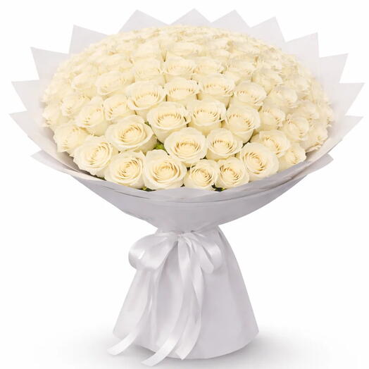 Timeless Elegance 101pcs white roses Bouquet