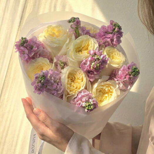 كريم   مرج الخزامى: وردة الحديقة المعطرة   ماثيولا لوكس