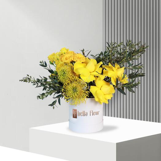 Solana Bella Box - Petit