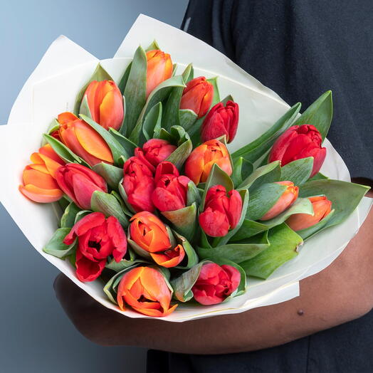 19 разноцветных тюльпанов-6011