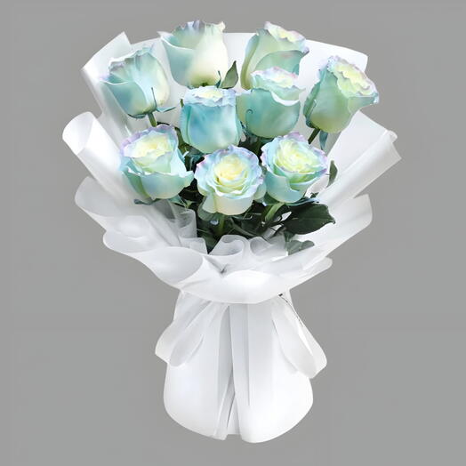 Специальный 066