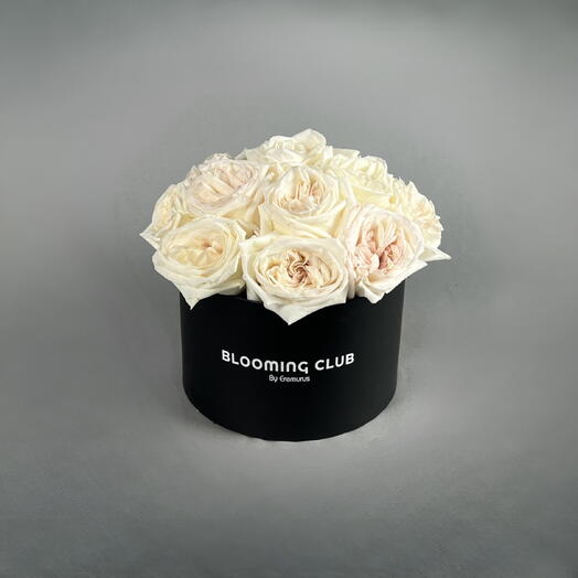 Белая коробка OHara