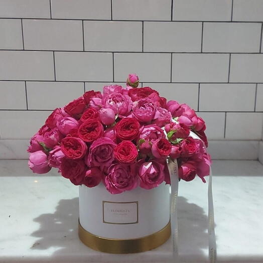 Бокс Джульетта