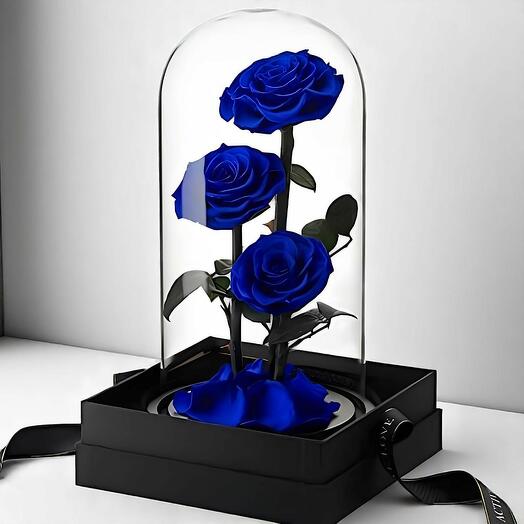 Trio Blue Infinity Rose