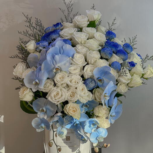 Blue   white box flowers