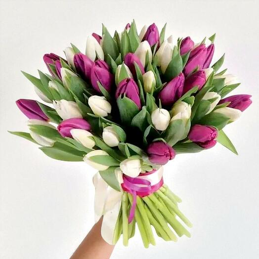 Элегантность фиолетово-белых тюльпанов