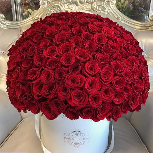 100 Red Roses Box