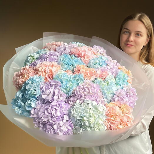 27 Mix Color Hydrangea