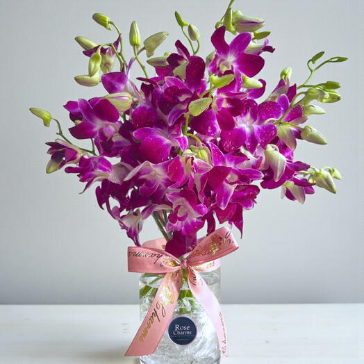 Элегантность орхидей – 11 изящных орхидей в стеклянной вазе для особых моментов