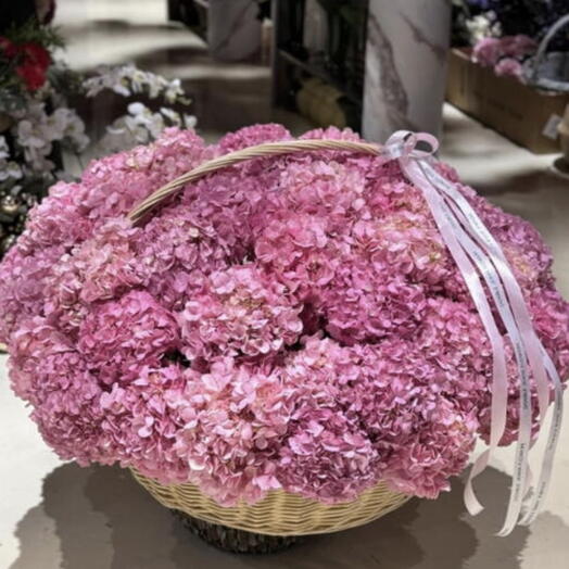 Корзина гортензий «Румяная мечта»